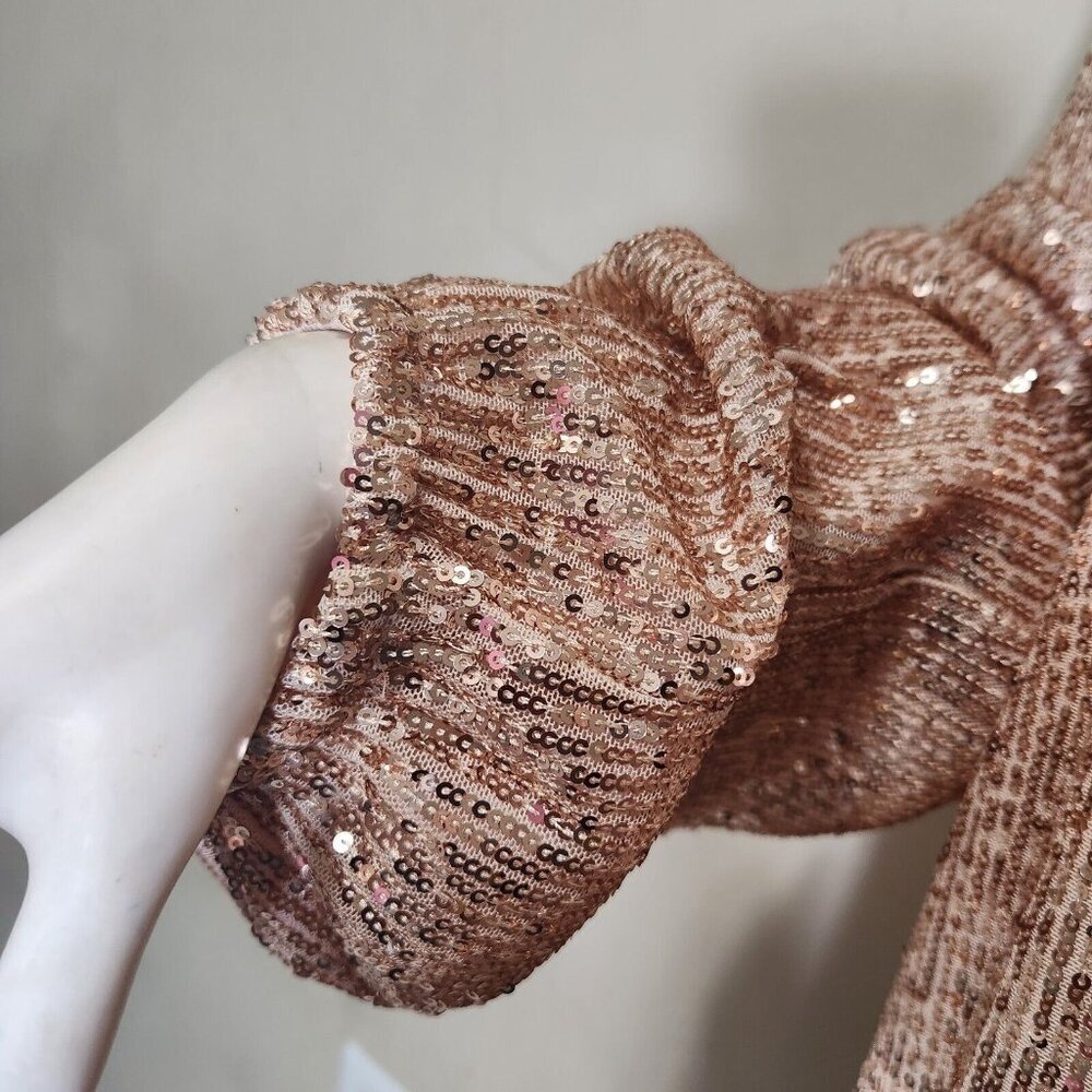 Preston & York Rosa Sequin Dress Long Blouson Sleeve Champagne Gold Size 16 (12) - Picture 8 of 15